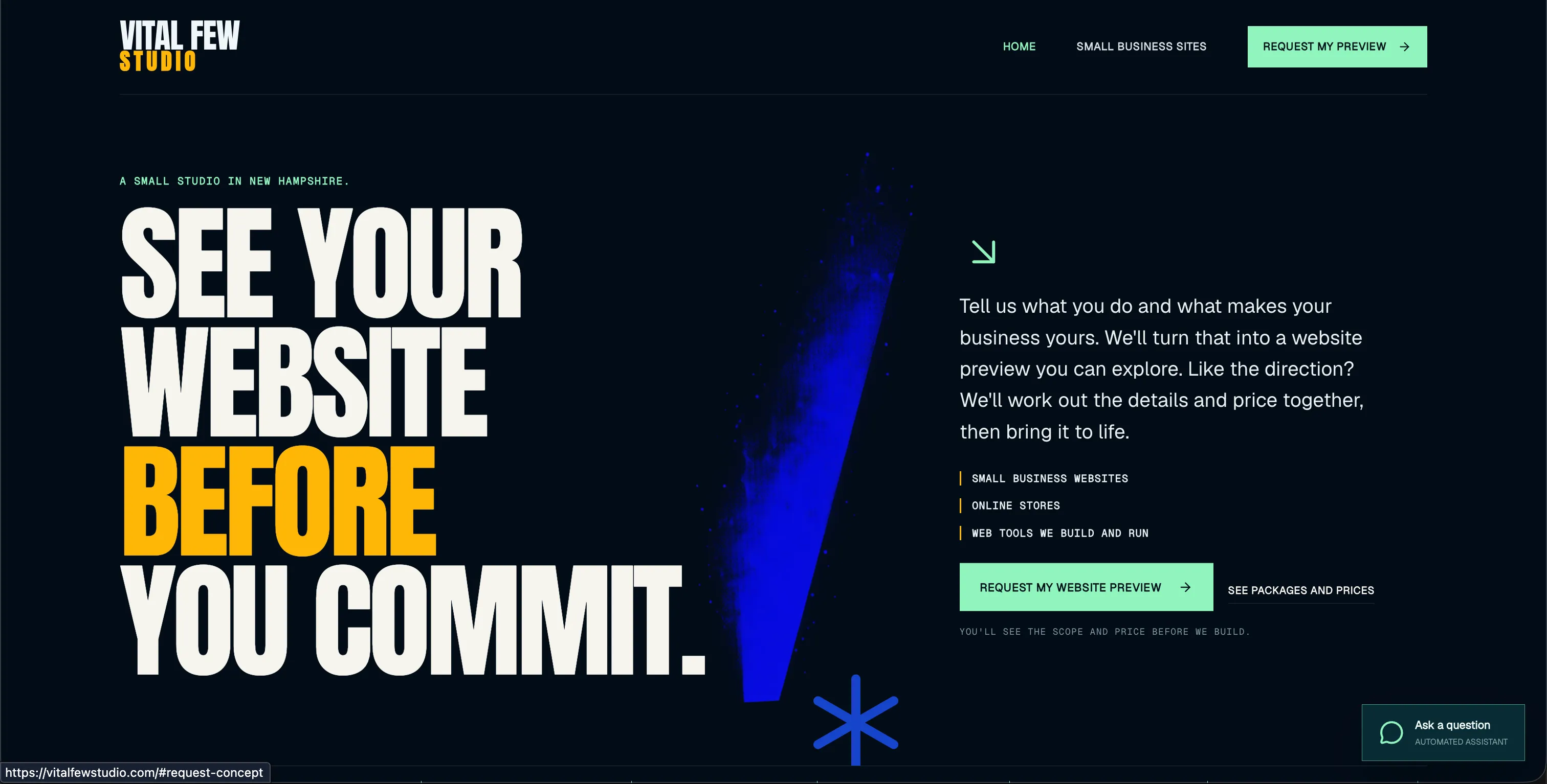 Vital Few Studio homepage with its See your website before you commit headline.